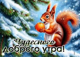 Picture чудесного доброго утра