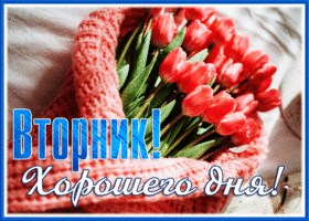Picture чудная открытка хорошего дня во вторник
