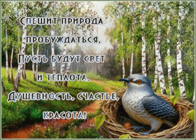 Picture чувственная гиф-открытка, пусть будет счастье, красота