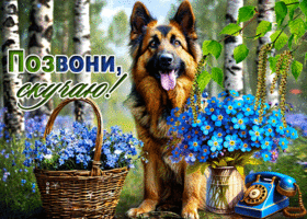 Picture чувствительная гиф-открытка, позвони, скучаю