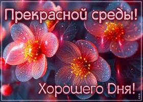 Postcard цветущая гиф-открытка, хорошего дня в эту среду