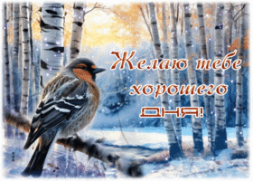 Postcard деликатная гиф-открытка, желаю тебе хорошего дня