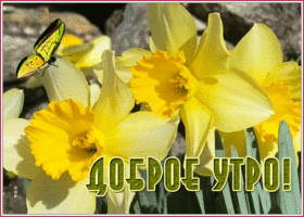 Картинка дивная картинка доброе утро