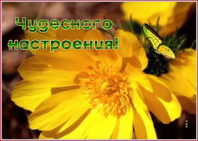 Картинка дивная открытка хорошего настроения