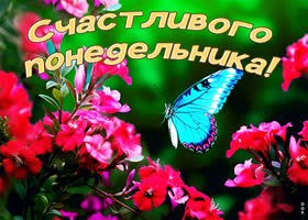 Picture дивная открытка с счастливым понедельником