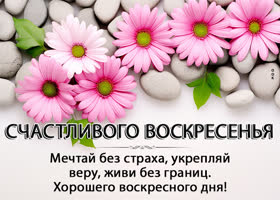 Postcard дивная открытка с счастливым воскресеньем