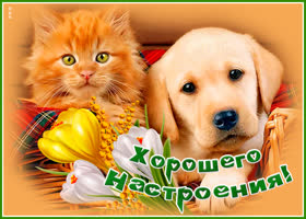 Открытка добрая открытка хорошего настроения