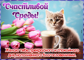 Picture добродушная открытка,  прекрасной и спокойной среды