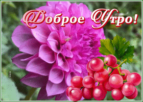 Picture доброе утро