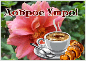 Postcard доброе утро