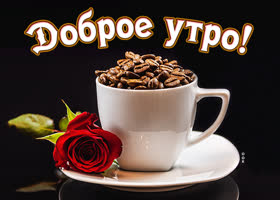 Postcard доброе утро
