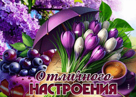 Picture добротрепетная гиф-открытка, отличного настроения