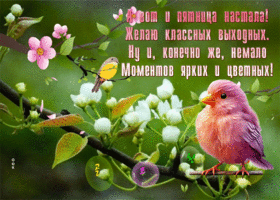 Picture драгоценная гиф-открытка, классной пятницы