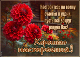 Postcard драгоценная гиф-открытка, настройся на хорошую волну