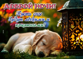 Picture дружелюбная гиф-открытка, приятной и доброй ночи
