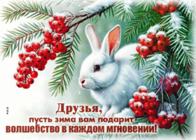 Postcard друзья, пусть зима вам подарит волшебство в каждом дне