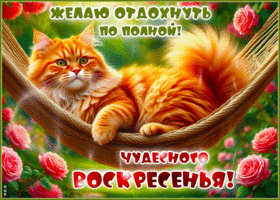 Postcard душевная гиф-открытка, чудесного воскресенья
