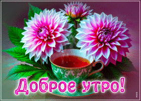 Postcard душевная гиф-открытка, доброе-бодрое утро