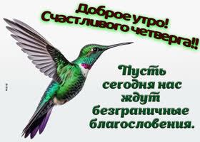 Picture душевная открытка, доброе утро четверга