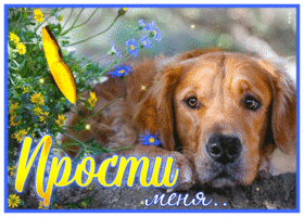 Picture душевная открытка прости с песиком и бабочкой