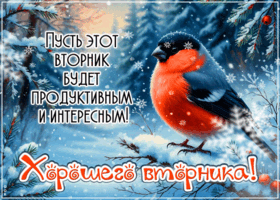 Picture душевная открытка, успешного вторника!