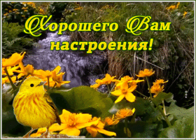 Картинка душевная открытка хорошего настроения