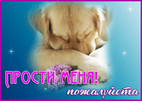 Открытка двигающаяся открытка прости