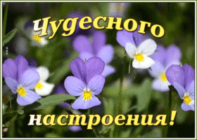 Картинка движущаяся картинка для настроения