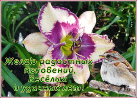 Картинка движущаяся открытка  с пожеланиями