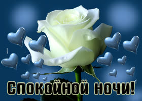 Picture эффектная картинка спокойной ночи с белой розой