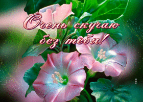 Picture элегантная гиф-открытка, очень скучаю без тебя