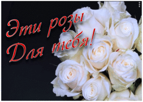 Открытка эти розы для тебя
