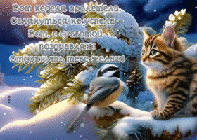 Postcard фантастическая гиф-открытка, хорошего субботнего отдыха