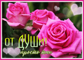 Picture фееричная картинка с розами, просто так