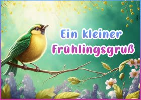 Postcard frühlingsanfang