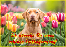 Picture frühlingsanfang