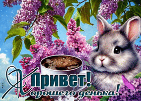 Postcard гармоничная гиф-открытка, привет и хорошего денька