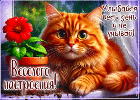 Postcard гармоничная гиф-открытка, улыбок на весь день