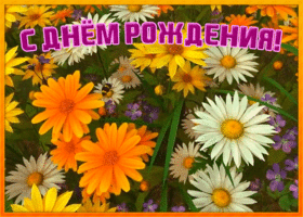 Картинка гиф картинка с днем рождения девушке