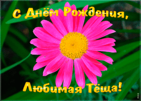 Открытка гиф картинка с днем рождения теще