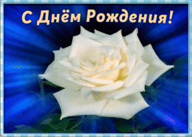 Картинка гиф картинка с днем рождения женщине