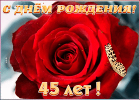 Открытка гиф открытка день рождения 45 лет