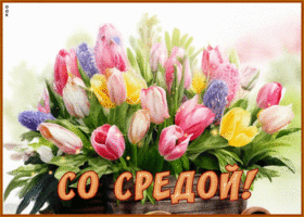 Postcard грациозная гиф-открытка, со средой тебя милый друг