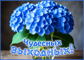 Picture идеальная гиф-открытка, пусть выходные пройдут как надо