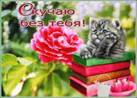 Postcard идеальная открытка скучаю без тебя с котенком