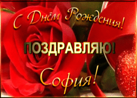 Картинка именная открытка с днем рождения софии
