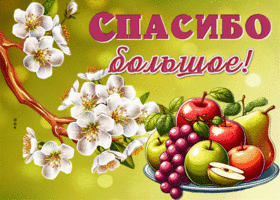 Postcard интересная гиф-открытка с фруктами, благодарю