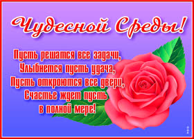 Картинка интересная картинка со средой