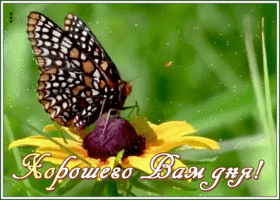 Картинка интересная открытка хорошего дня