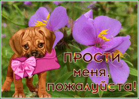 Picture интересная открытка прости меня, пожалуйста